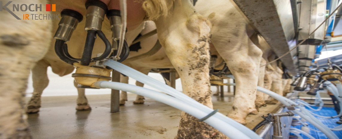 Infrarotstrahler für Melkstände Infrarotstrahler für Melkstände