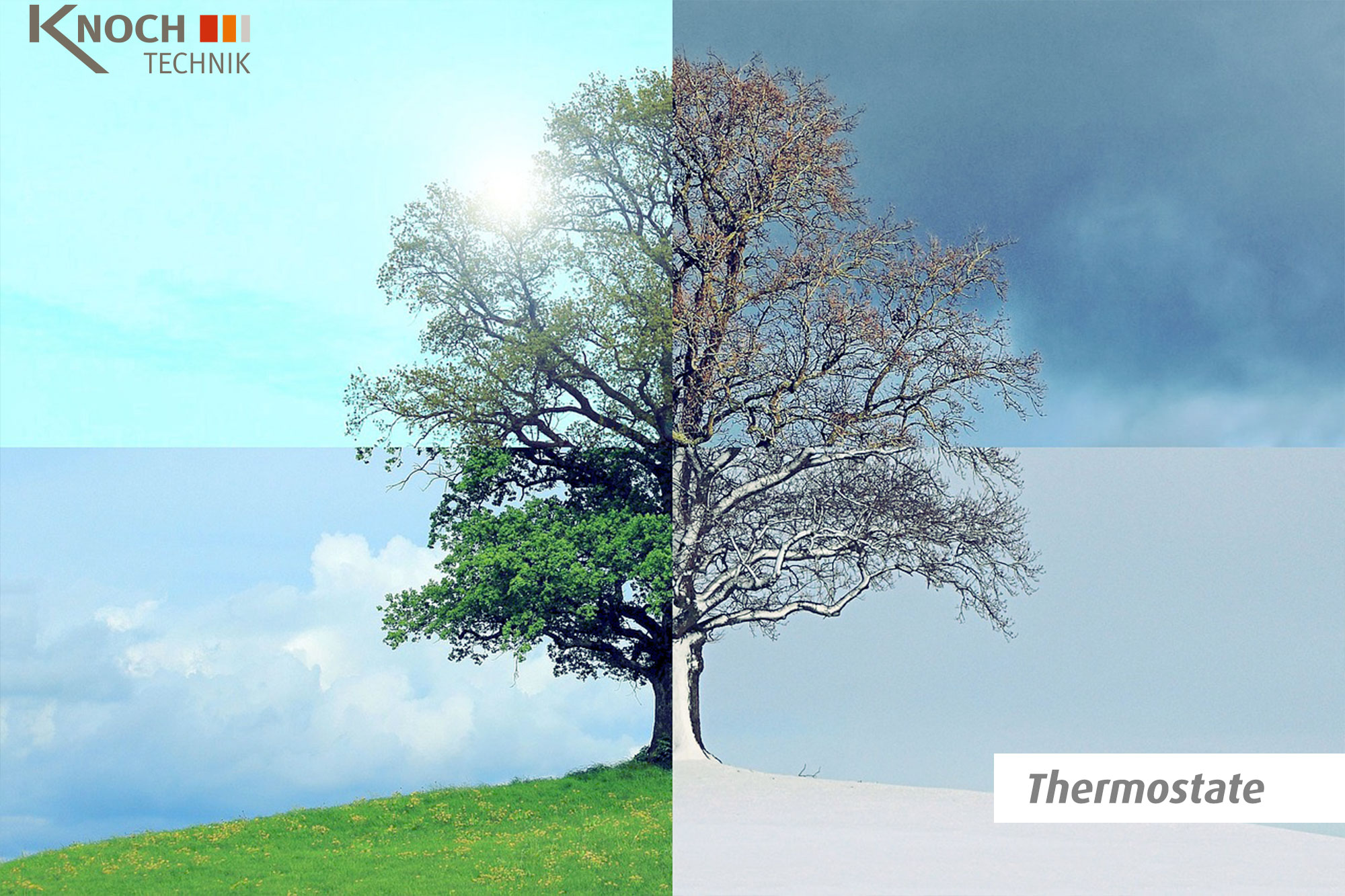 vm produktkategorie beschreibung